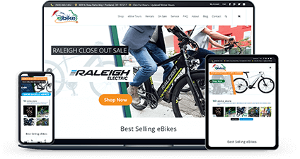 the_ebike_store